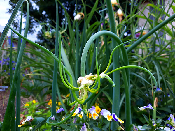 Spider-like topsets suspended above the ground.