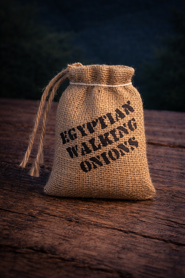 Burlap gift sack of Egyptian Walking Onion topsets