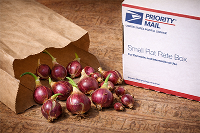 An example of how topsets are shipped. They are hand-picked, counted, and placed in a small paper bag.